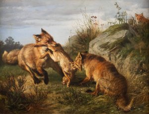 Two foxes fighting for their prey by Carl Friedrich Deiker Oil Painting