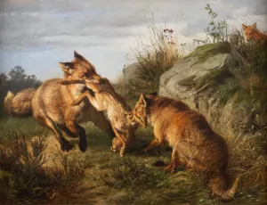 Two foxes fighting for their prey by Carl Friedrich Deiker Oil Painting