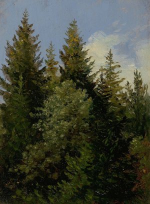 Firs by Carl Gustav Carus Oil Painting
