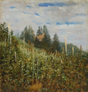 Fruhsommerlicher Weinberg in Pillnitz by Carl Gustav Carus Oil Painting