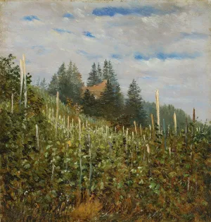 Fruhsommerlicher Weinberg in Pillnitz by Carl Gustav Carus Oil Painting