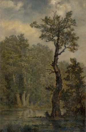 Waldlandschaft by Carl Gustav Carus Oil Painting