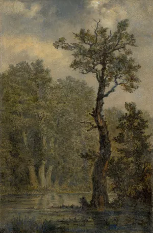 Waldlandschaft by Carl Gustav Carus Oil Painting