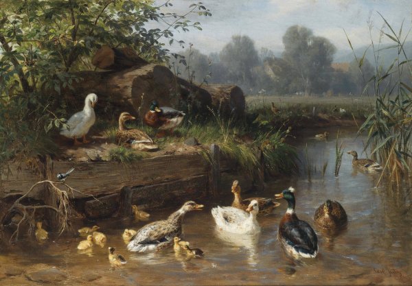 Enten am Bach by Carl Jutz - Hand-Painted Oil Painting Reproduction
