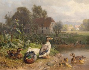 Enten am Teich by Carl Jutz Oil Painting