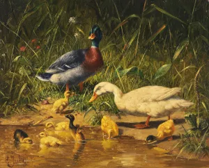 Enten mit Jungen am Wasser Oil painting by Carl Jutz