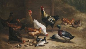 Geflugel im Stallinterieur by Carl Jutz The Elder Oil Painting