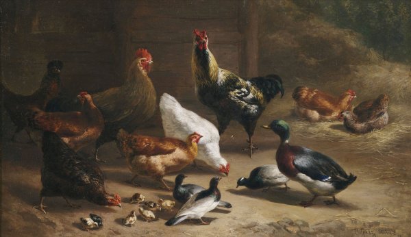 Geflugel im Stallinterieur  by Carl Jutz The Elder - Hand-Painted Oil Painting Reproduction