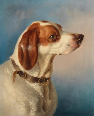 Ein Foxl by Carl Pischinger Oil Painting