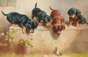 Curious dachshund puppies and a frog by Carl Reichert Oil Painting