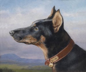 Portrait eines Dobermanns by Carl Reichert Oil Painting