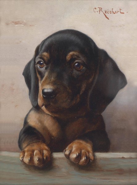 Young Dachshund by Carl Reichert - Hand-Painted Oil Painting Reproduction