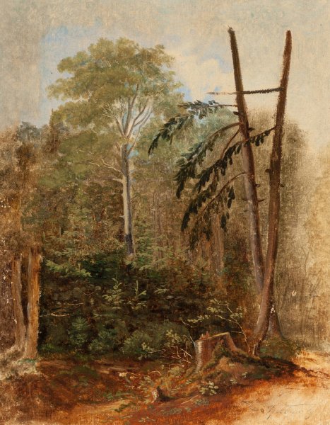 Study of a Woodland Landscape by Carl Spitzweg - Hand-Painted Oil Painting Reproduction