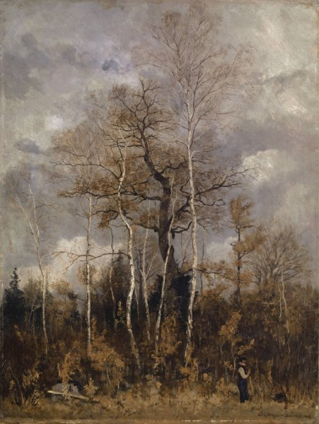 Oak and Birch Trees in Early Spring by Carl Theodor Meyer-Basel - Hand-Painted Oil Painting Reproduction