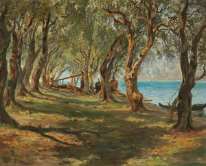 Olivenhain am Gardasee by Carlo Brioschi Oil Painting