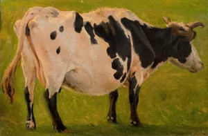 Black and white cow standing. Study by Carlo Dalgas Oil Painting