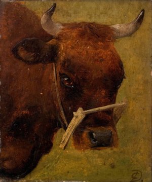 Head of a cow. Study by Carlo Dalgas Oil Painting