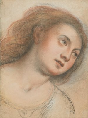 Study for Female Head by Carlo Francesco Nuvolone Oil Painting