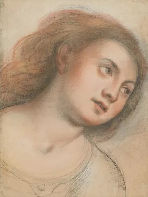 Study for Female Head by Carlo Francesco Nuvolone Oil Painting