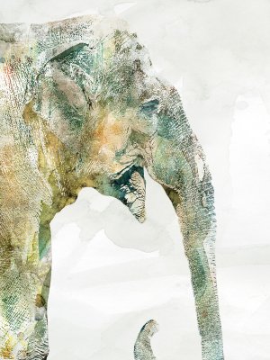 African Colors Elephant by Carol Robinson Oil Painting