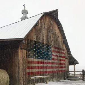 America Proud Oil Painting by Carol Robinson - Contemporary