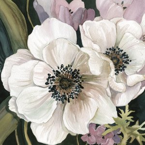 Anemone Study I by Carol Robinson Oil Painting