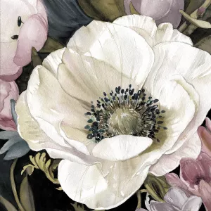 Anemone Study II by Carol Robinson Oil Painting