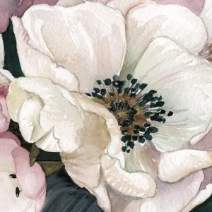 Anemone Study III by Carol Robinson Oil Painting