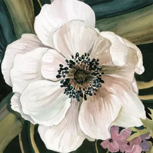 Anemone Study IV by Carol Robinson Oil Painting