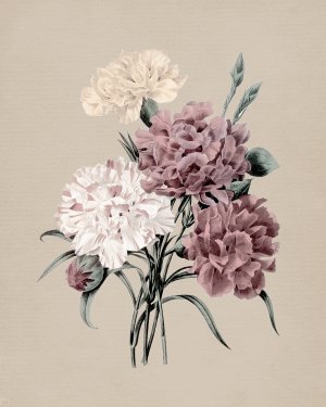 Antique Botanical I by Carol Robinson Oil Painting