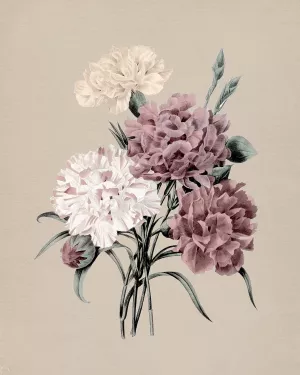 Antique Botanical I by Carol Robinson Oil Painting