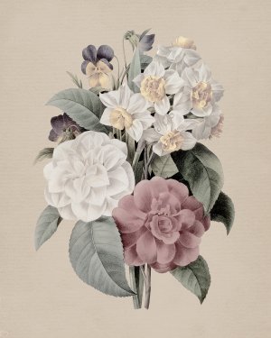 Antique Botanical II by Carol Robinson Oil Painting