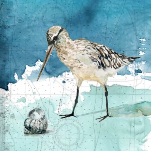 Bay Shore Sandpiper II by Carol Robinson Oil Painting
