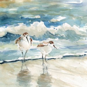 Beach Birds by Carol Robinson Oil Painting