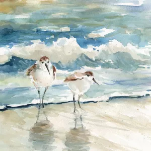 Beach Birds Oil Painting by Carol Robinson - Bestsellers