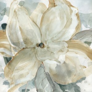 Belle Bloom by Carol Robinson Oil Painting