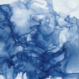 Beyond the Deep I by Carol Robinson Oil Painting
