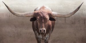 Big Fella by Carol Robinson Oil Painting