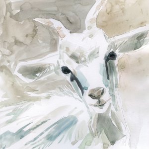 Bill E. Goat by Carol Robinson Oil Painting