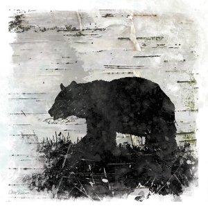 Birchbark Bear by Carol Robinson Oil Painting