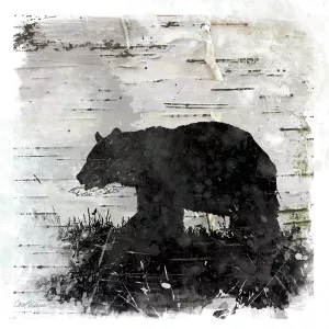 Birchbark Bear by Carol Robinson Oil Painting