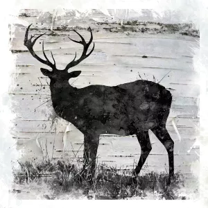Birchbark Deer by Carol Robinson Oil Painting