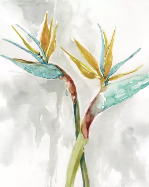 Bird of Paradise I by Carol Robinson Oil Painting
