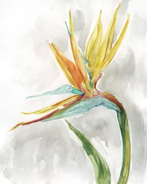 Bird of Paradise II by Carol Robinson Oil Painting