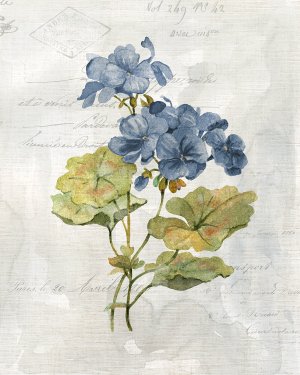 Blue Linen Geranium by Carol Robinson Oil Painting