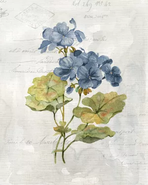 Blue Linen Geranium by Carol Robinson Oil Painting