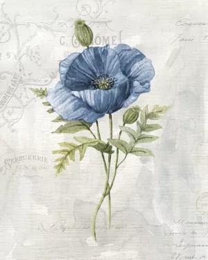 Blue Linen Poppy by Carol Robinson Oil Painting