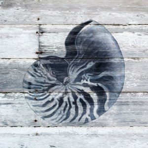 Blue Nautilus by Carol Robinson Oil Painting