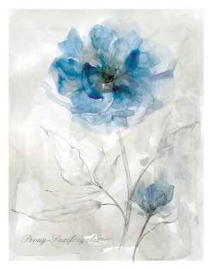 Blue Peony by Carol Robinson Oil Painting