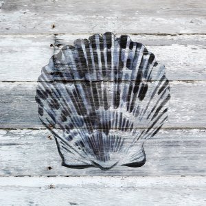 Blue Scallop by Carol Robinson Oil Painting